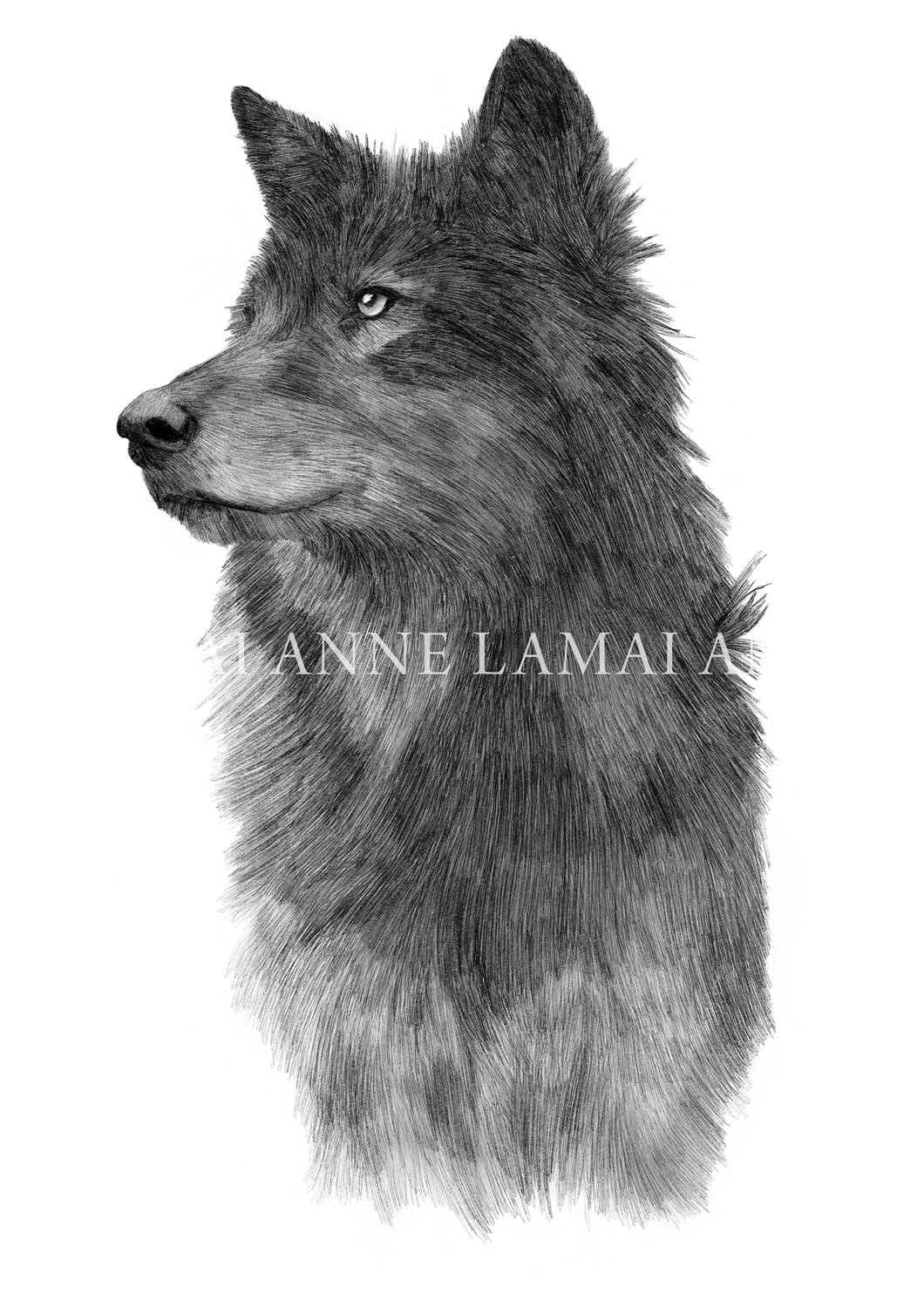 Wolf Portrait | The Heart of Shadow Art Print product image (1)