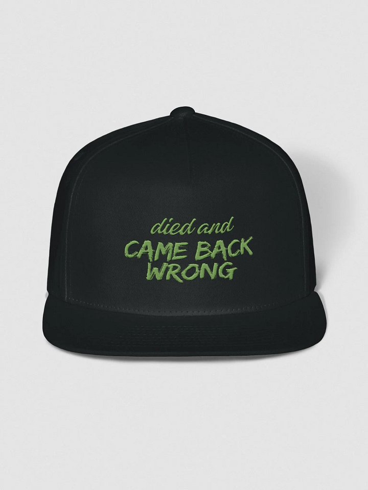 Died and Came Back Wrong Snapback product image (1)