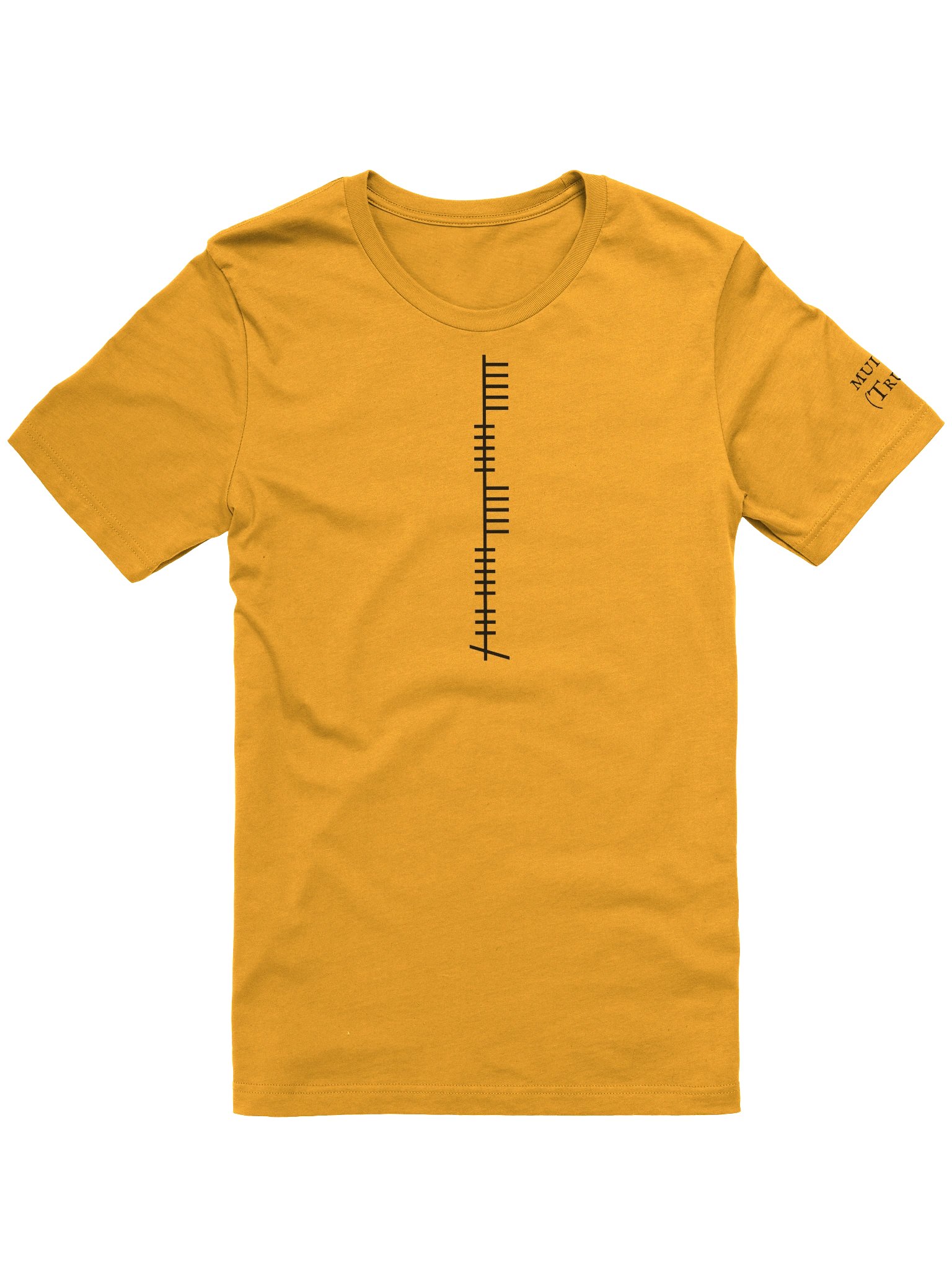 muinín (Trust) - Soft Tee product image (1)