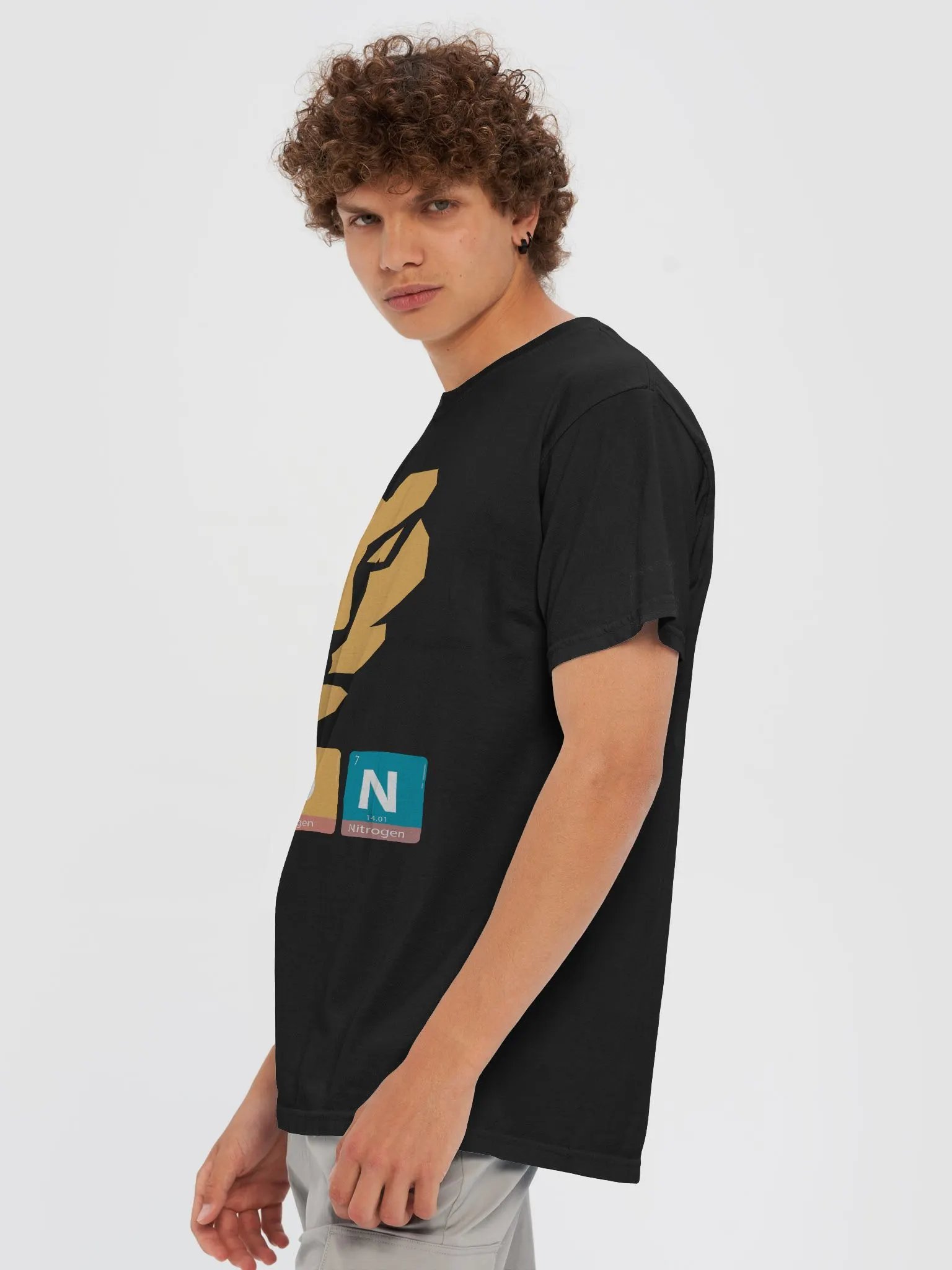 Lion Elements Heavyweight Tee product image (62)