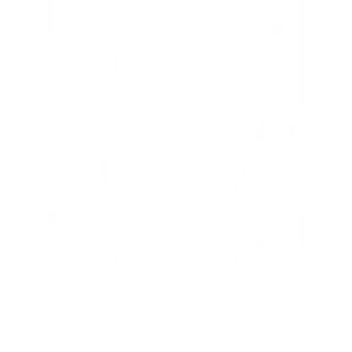 The  Nathan V