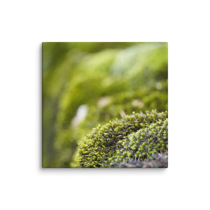 Moss Canvas product image (2)