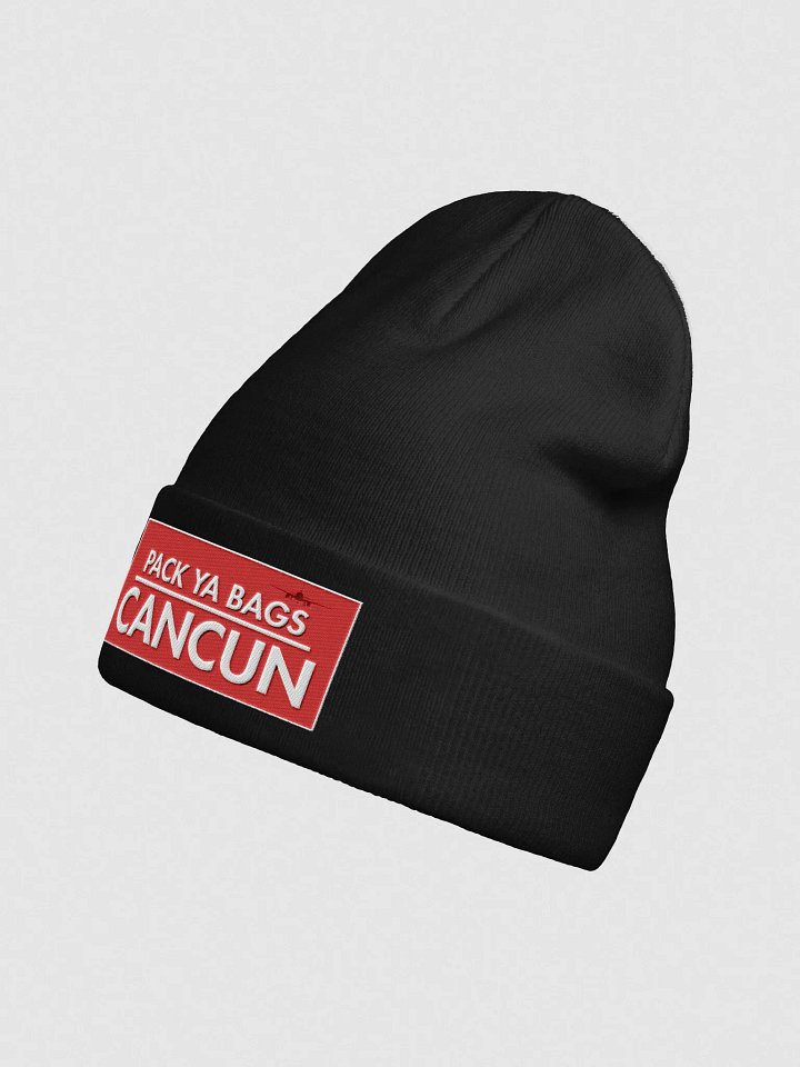 Copy of Otto Knit Beanie - PACK YA BAGS product image (2)
