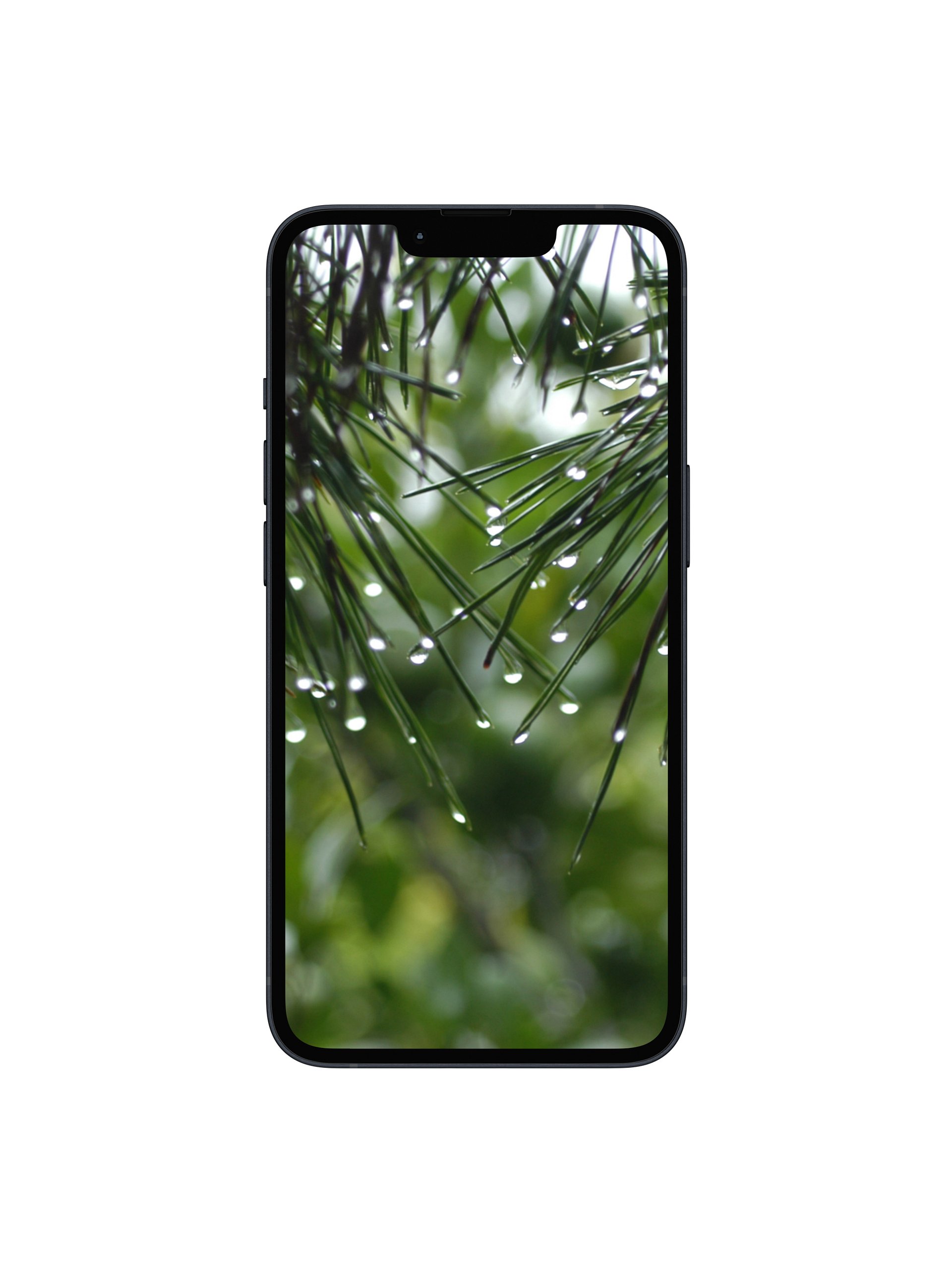 Pine Rain Digital Wallpaper Set product image (1)