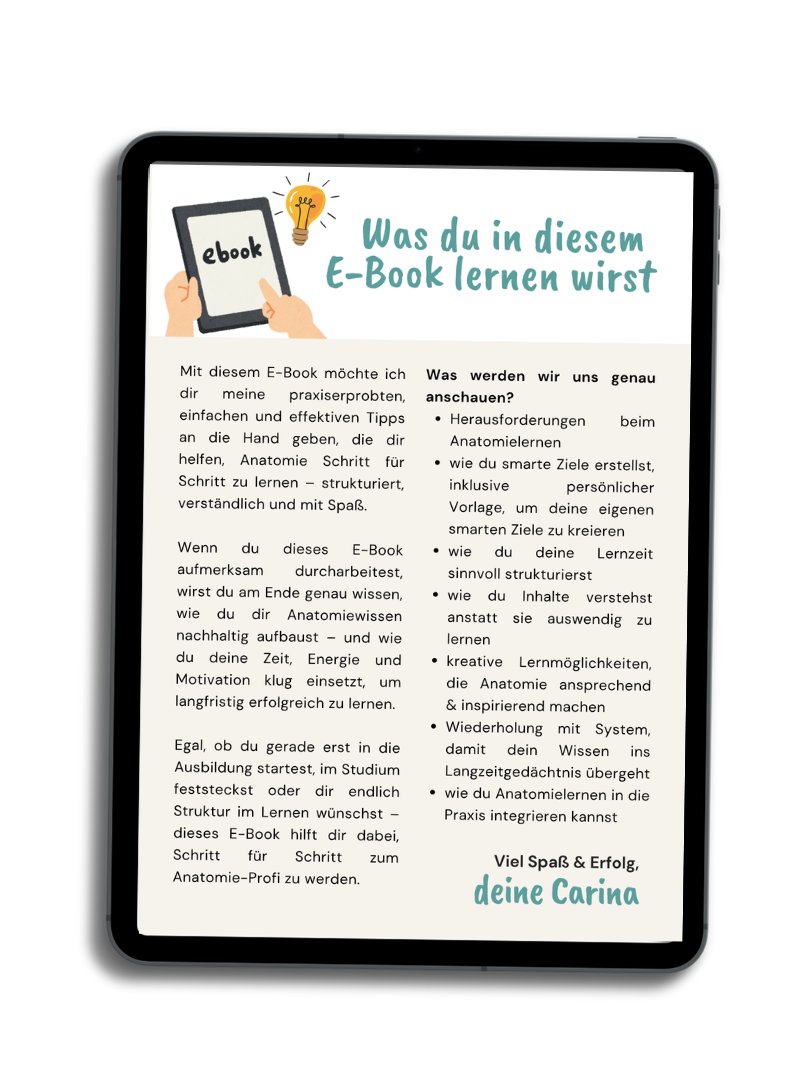 E-Book: Schritt für Schritt zum Anatomie-Profi product image (2)