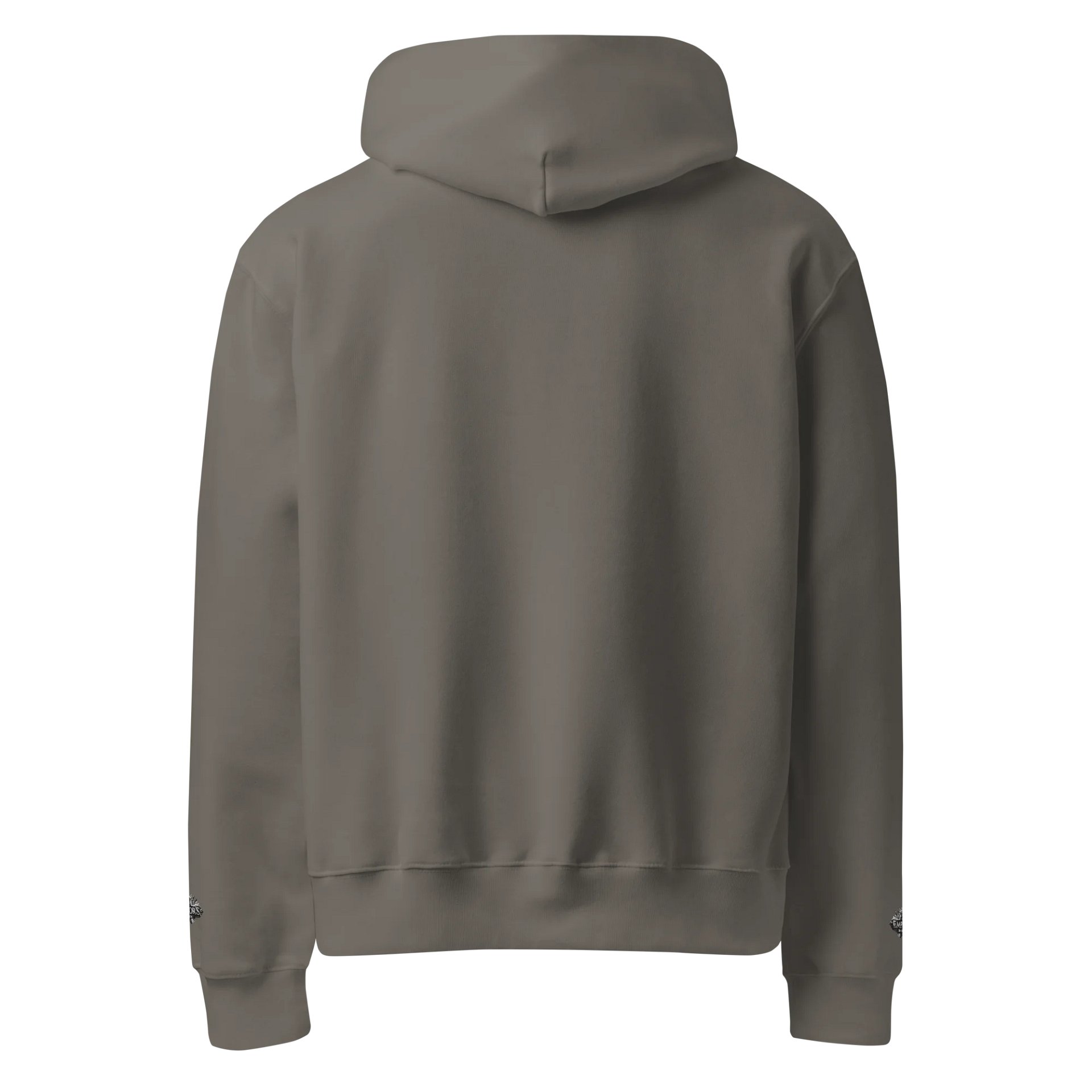 Fierce Eagle Graphic Oversized Hoodie product image (26)