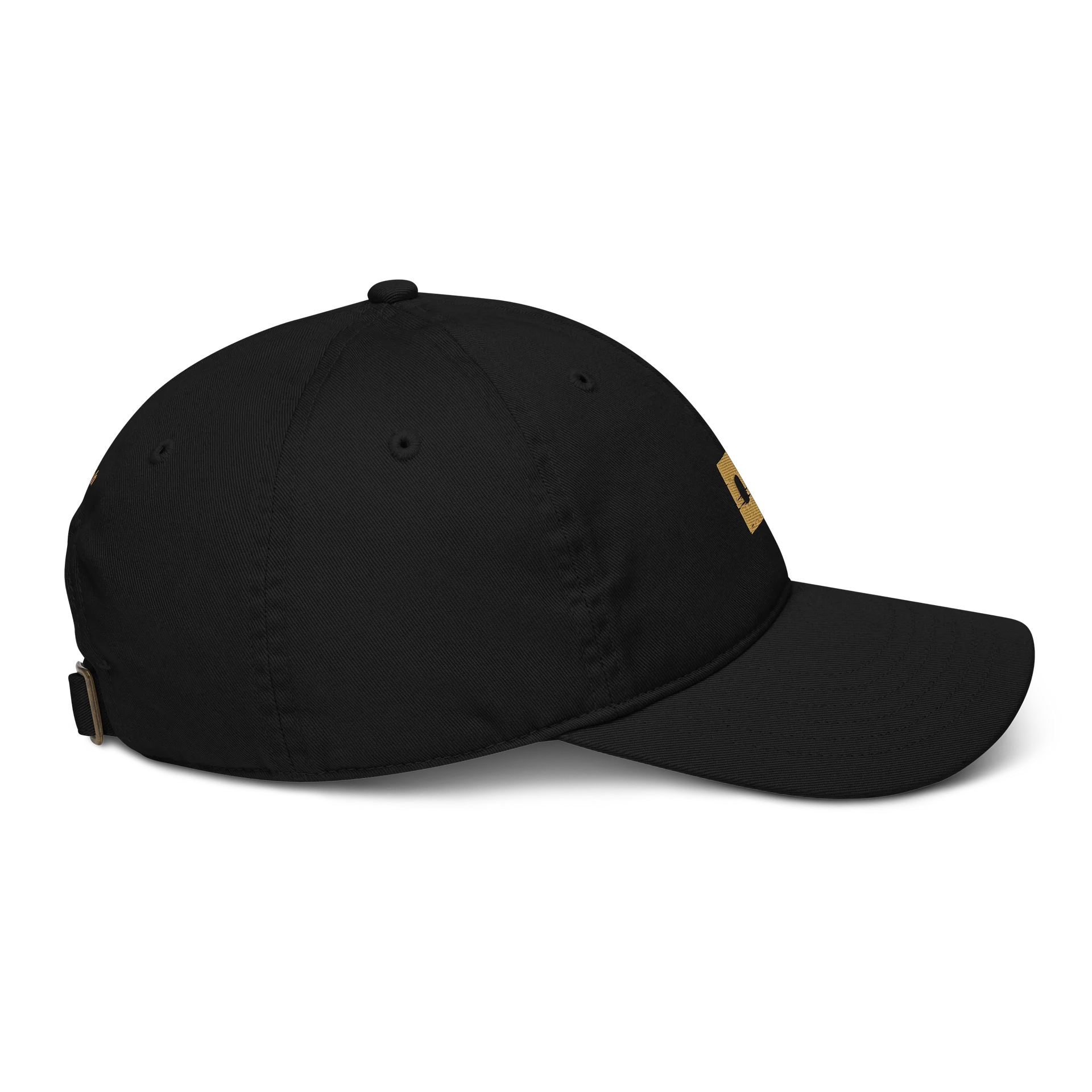 Logo Hat 002 product image (16)