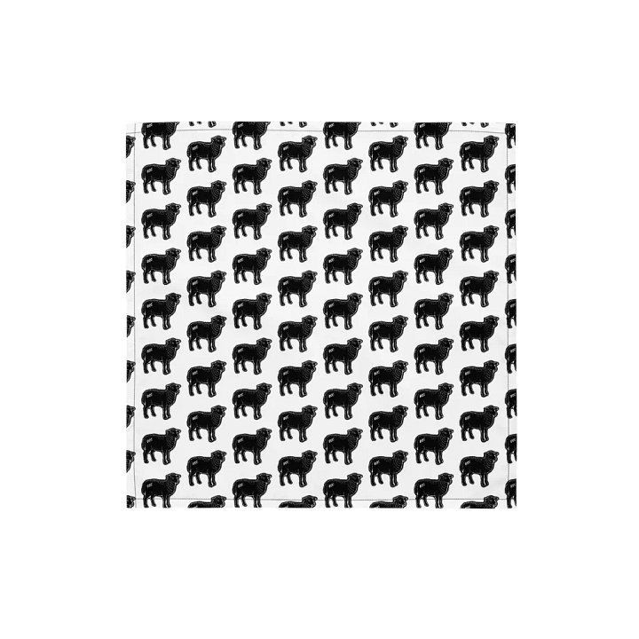BS Bandana product image (1)