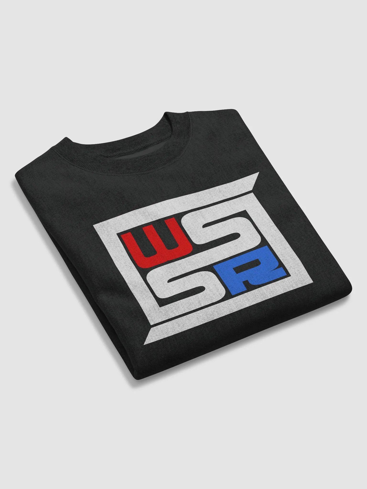 WSSR Champion Sweatshirt product image (3)