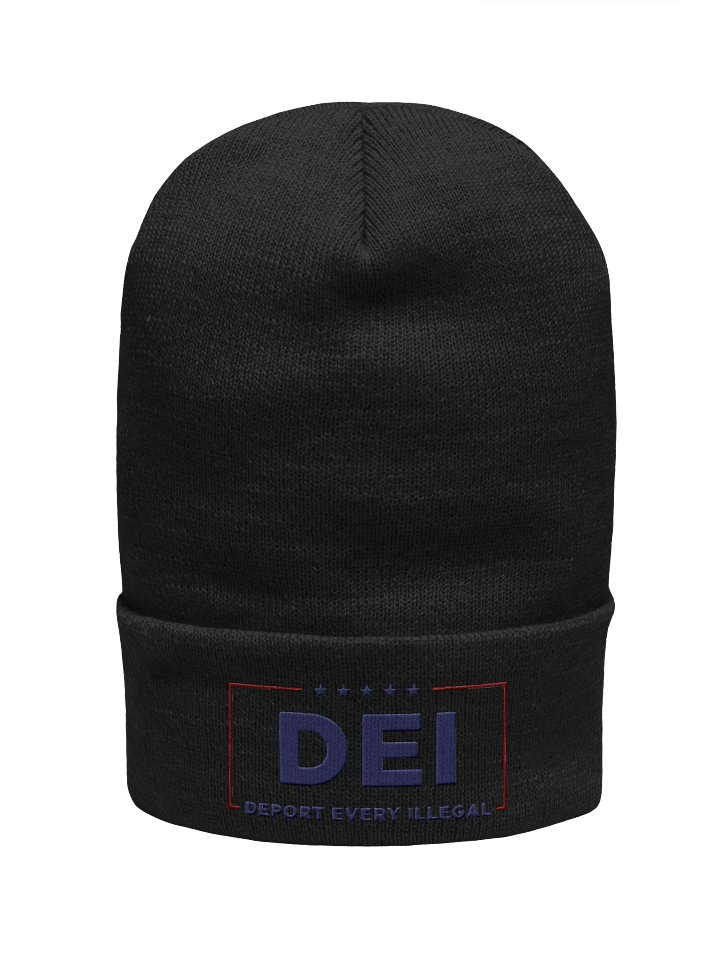 UnR DEI Beanie product image (2)