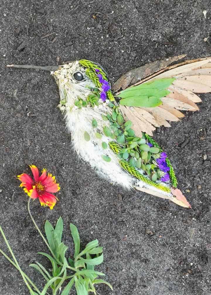 HOVER & BLOOM | Fine Art Print product image (1)