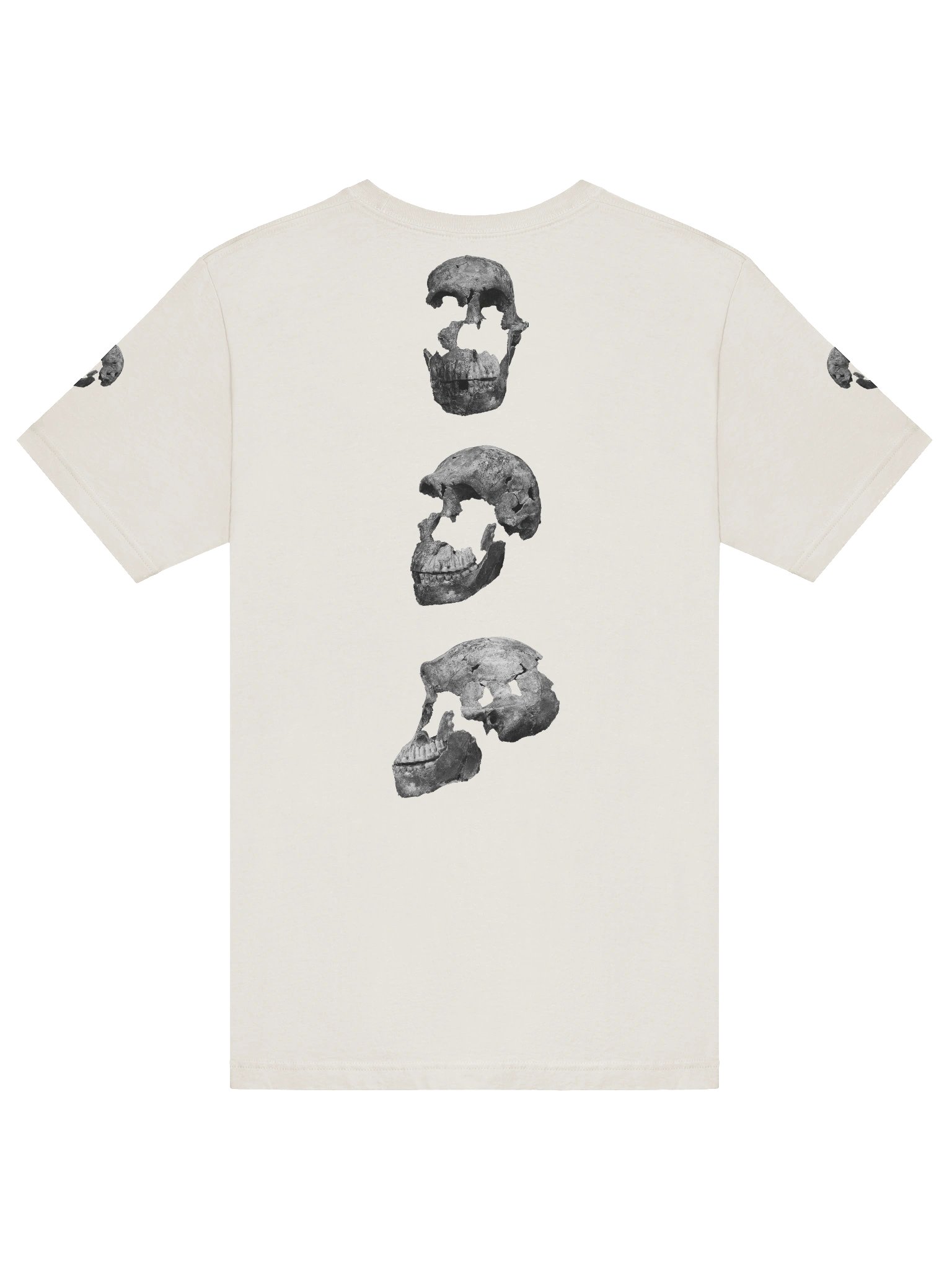 Naledi Fossil Skull T-Shirt Light product image (33)