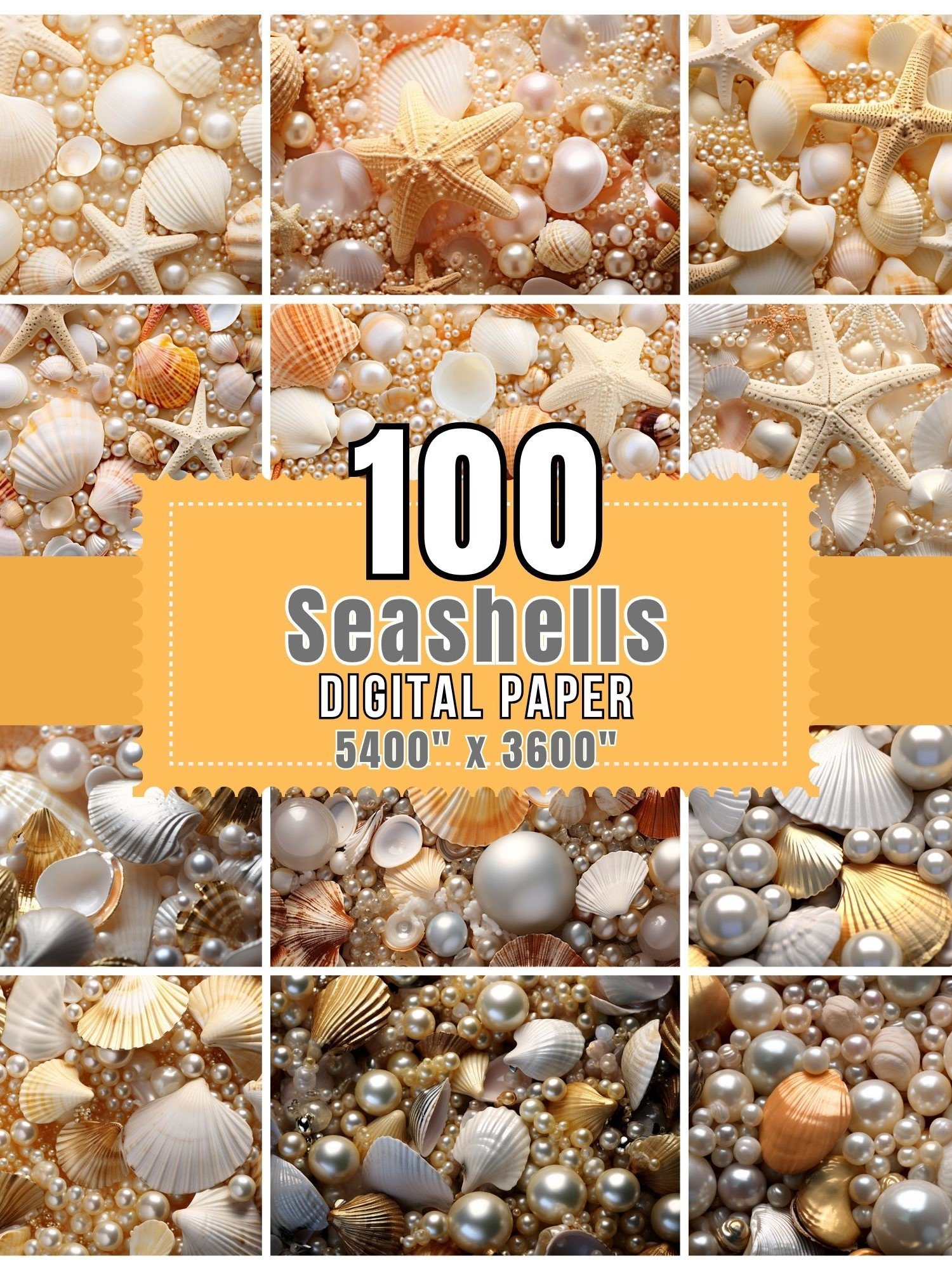 100 Seashell Digital Paper product image (8)