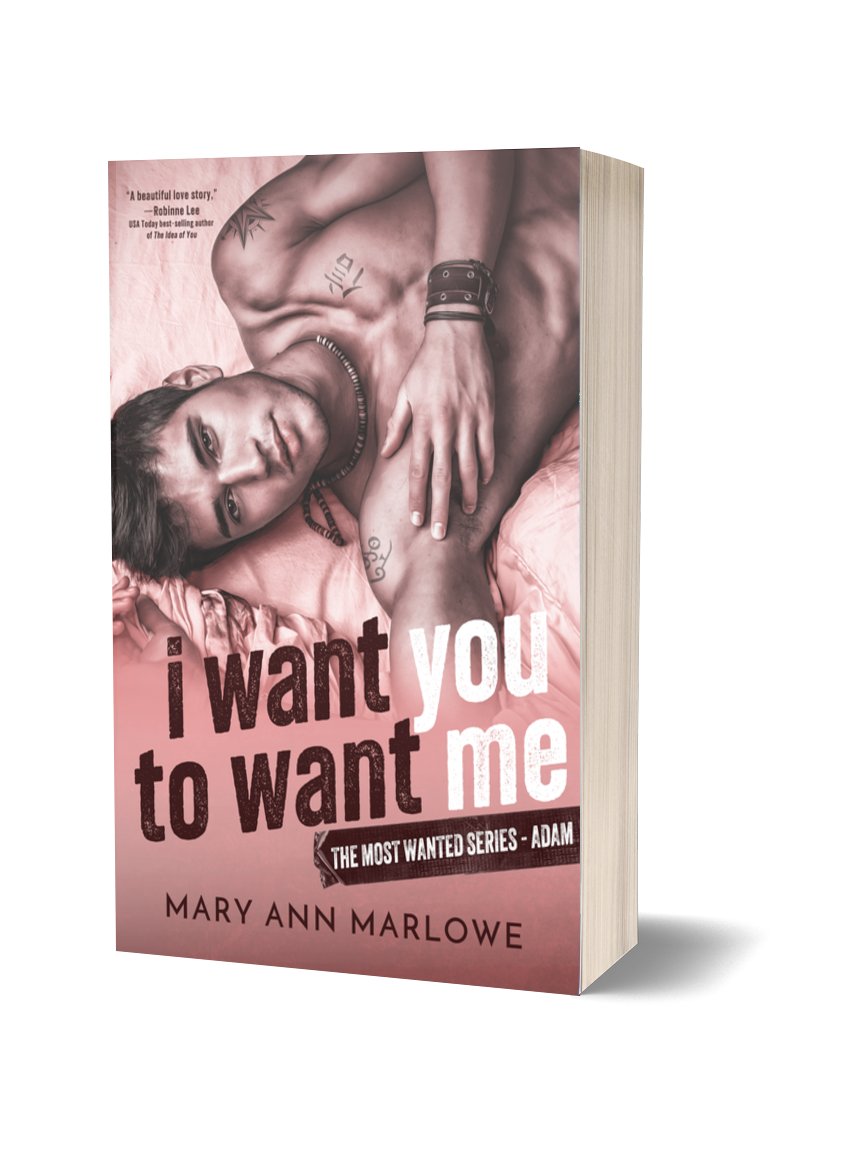 The Most Wanted Series 6-Book Box Set | Signed Paperback product image (4)