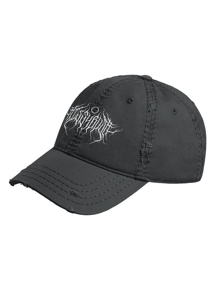 Hissybusa Distressed Dad Cap product image (2)