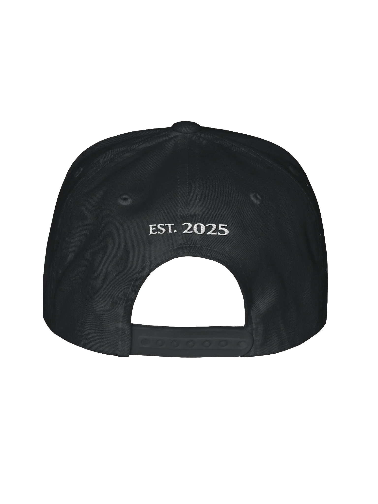 The ±2 Society Cap product image (4)