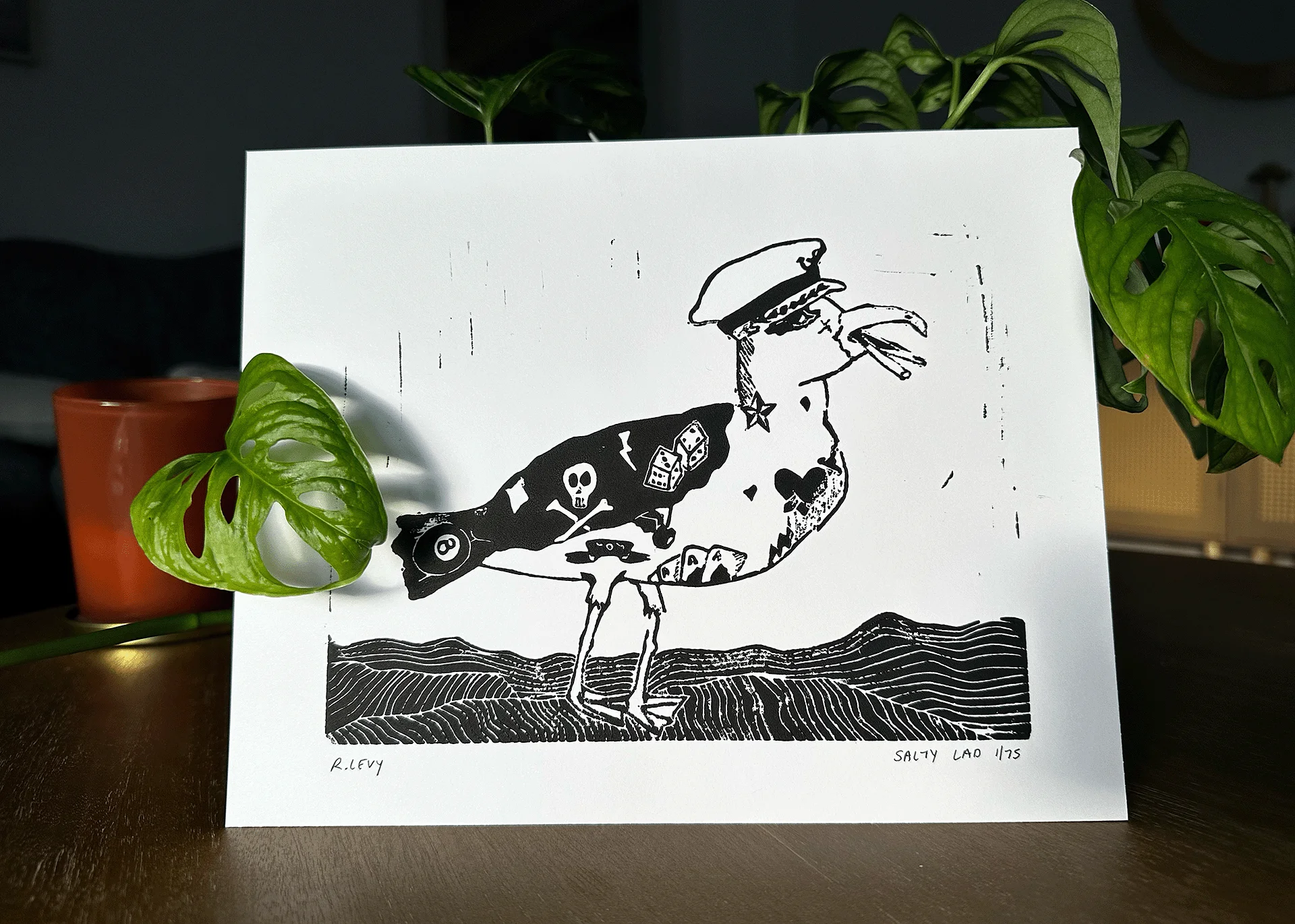 Salty Lad product image (1)
