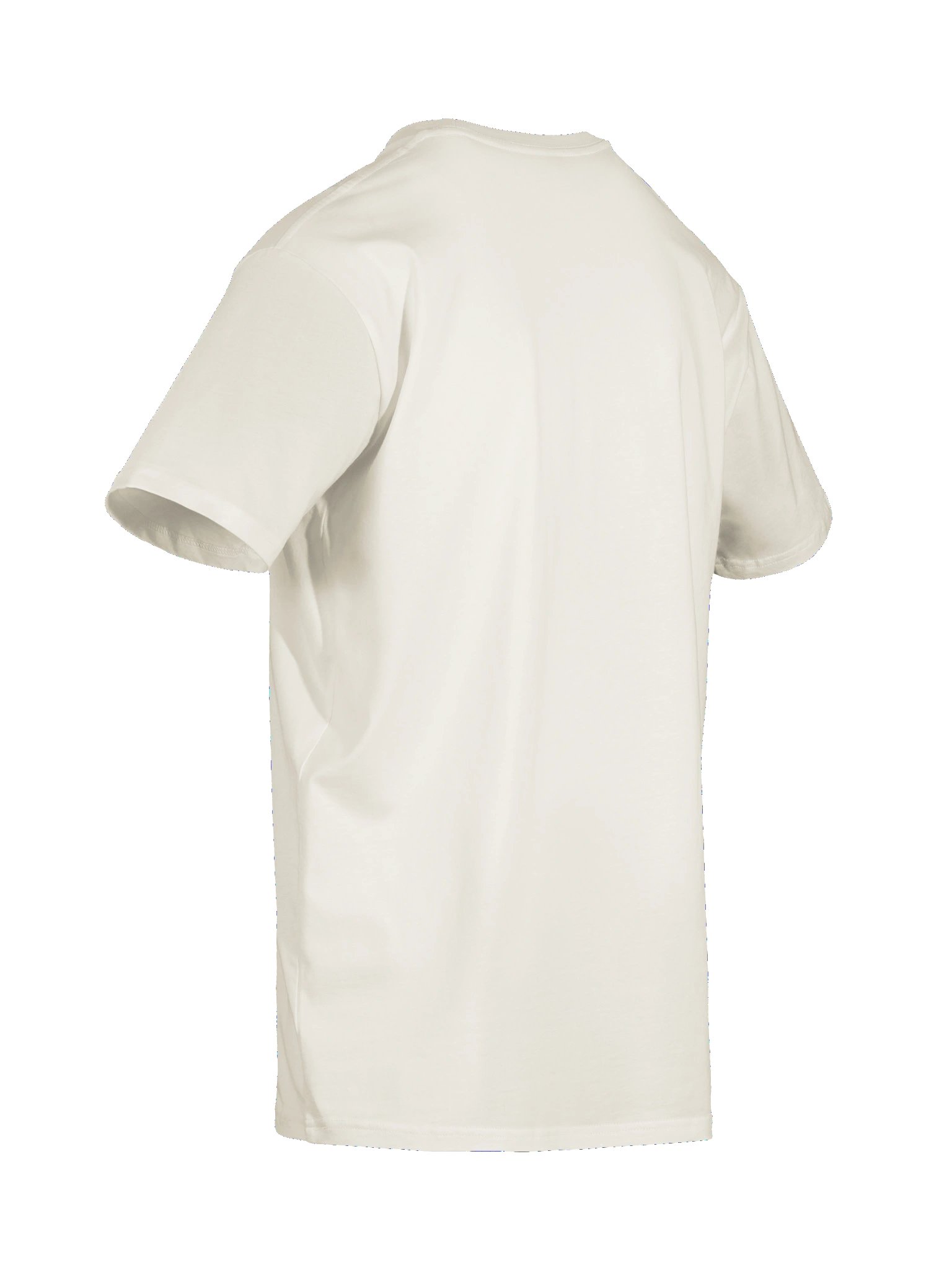 Sane When You Came Tee product image (16)
