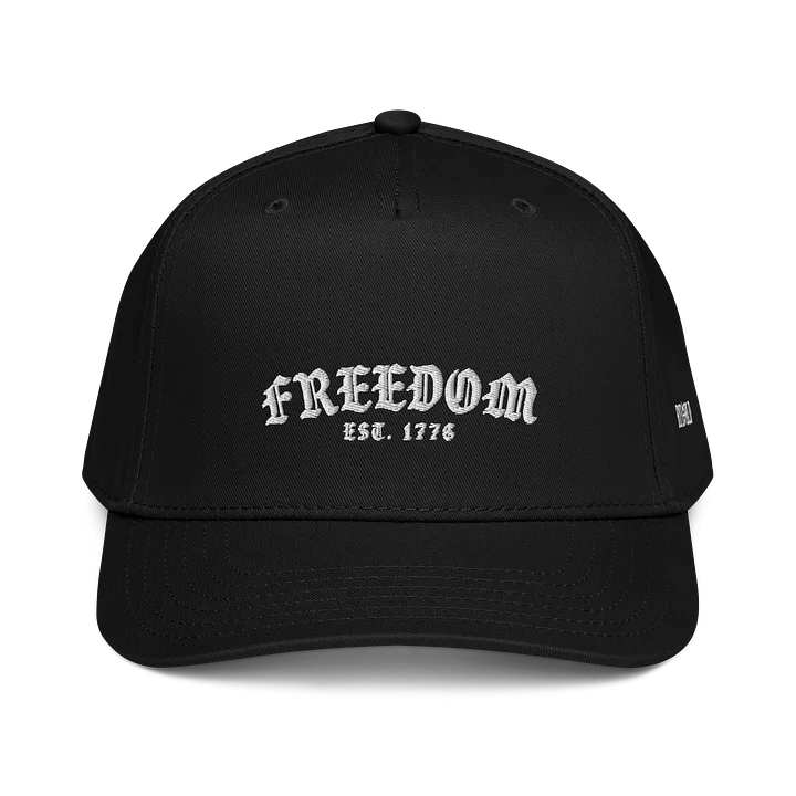 1776 DAD HAT product image (1)