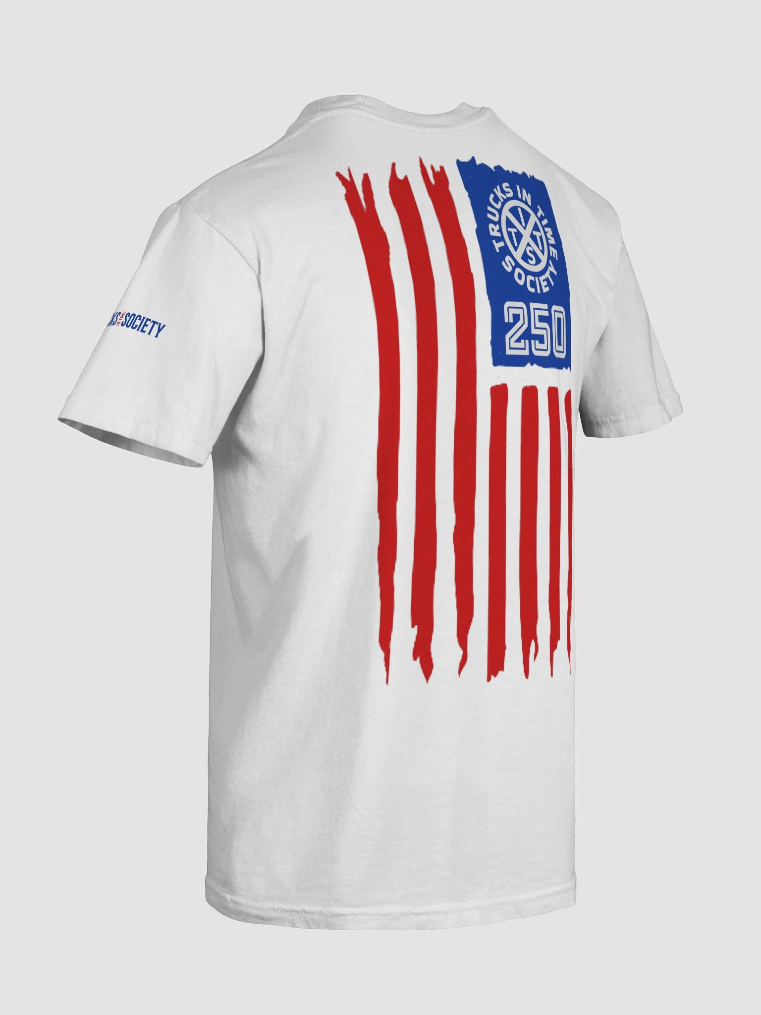 TITS 250 SALTY TEE product image (28)
