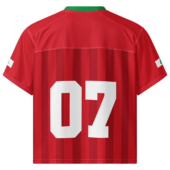 Lebanon Boxy Sports Tee product image (2)