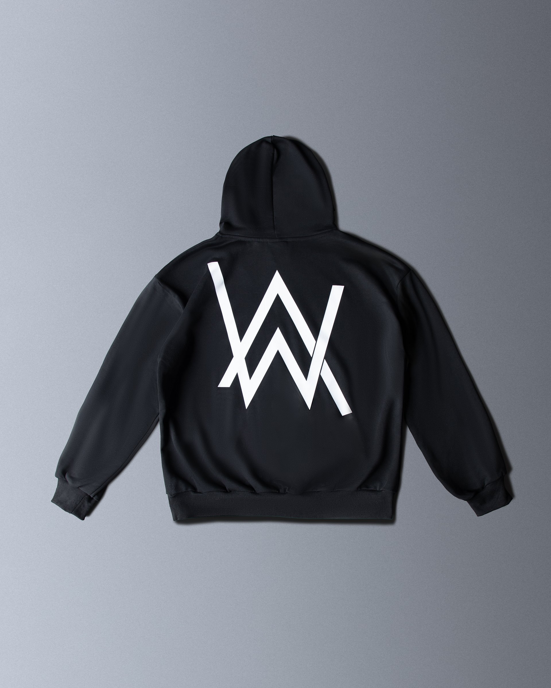 Core Logo Hoodie Vol.2 product image (2)