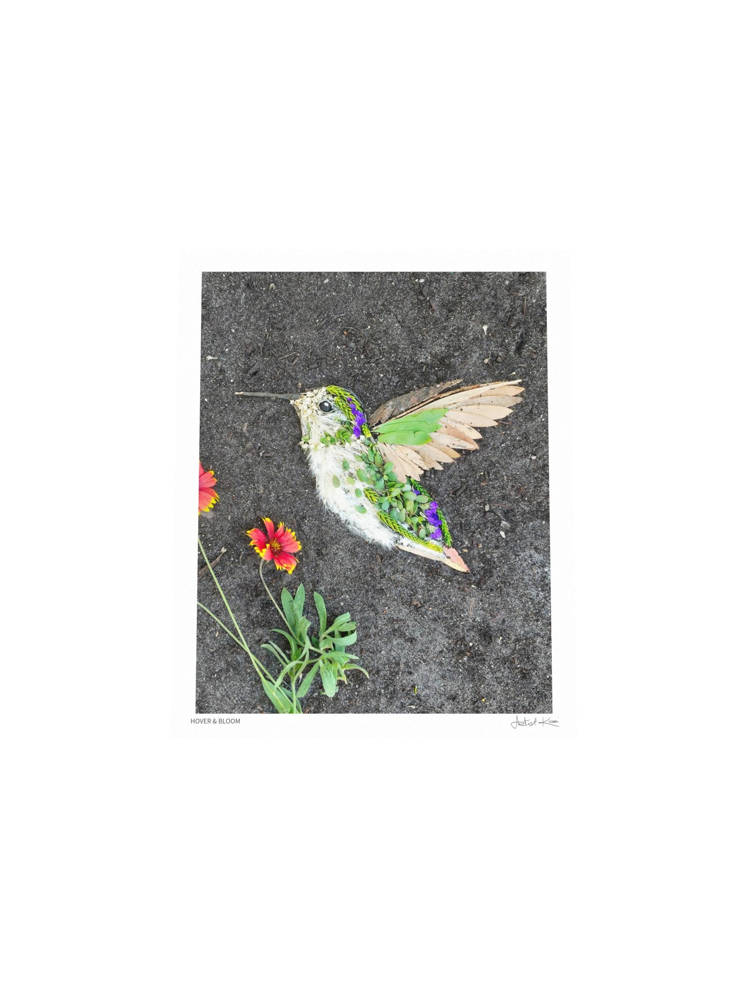HOVER & BLOOM | Nature Art Print product image (4)