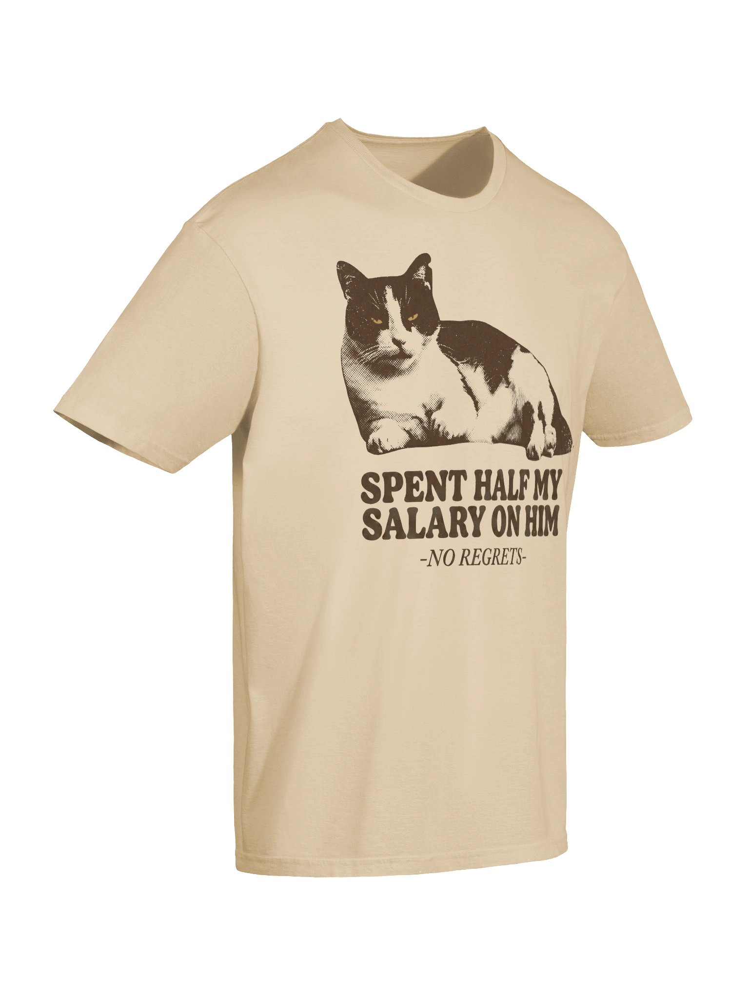 Spent My Salary Cat T-Shirt product image (29)