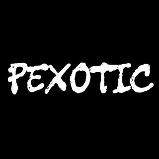 Pexotic Store