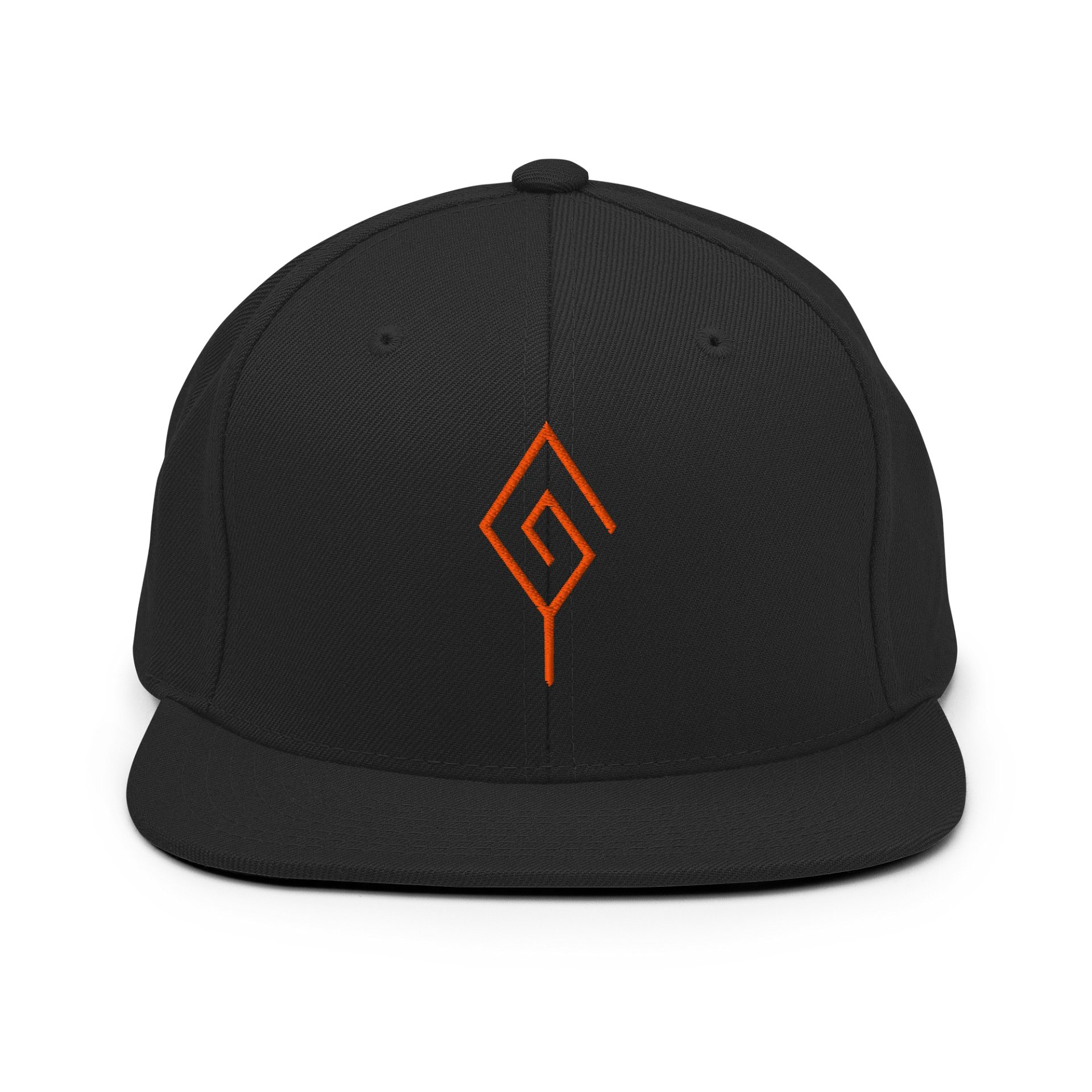 Logo SnapBack product image (1)