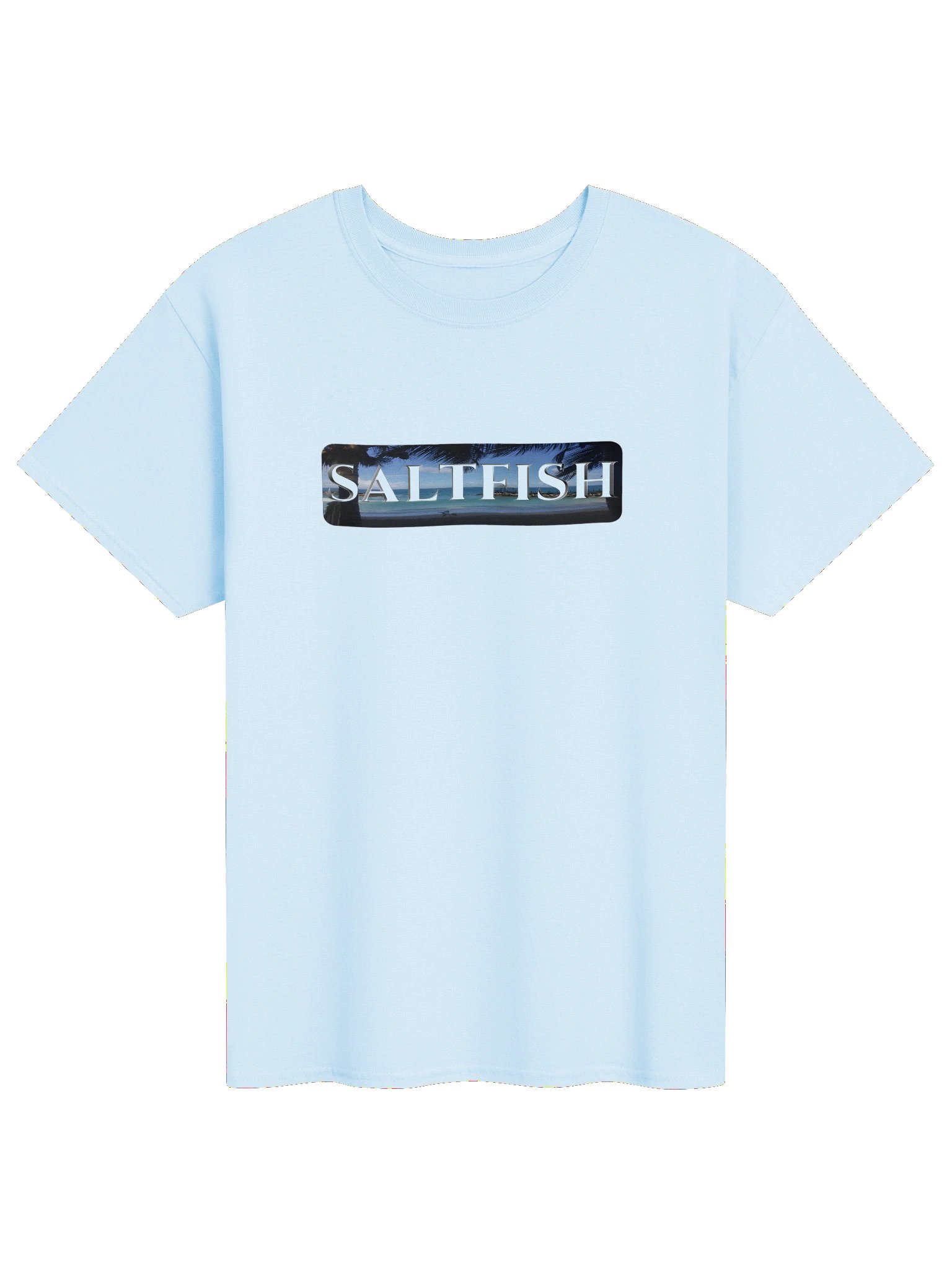CaribbeanApples - Saltfish | Heavyweight T-Shirt | 9 Colors product image (1)