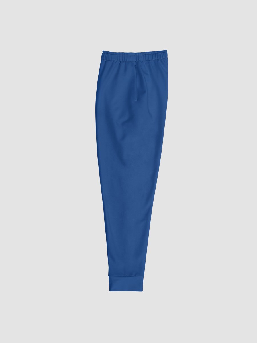 Project Winter Men's Joggers (Blue) product image (3)