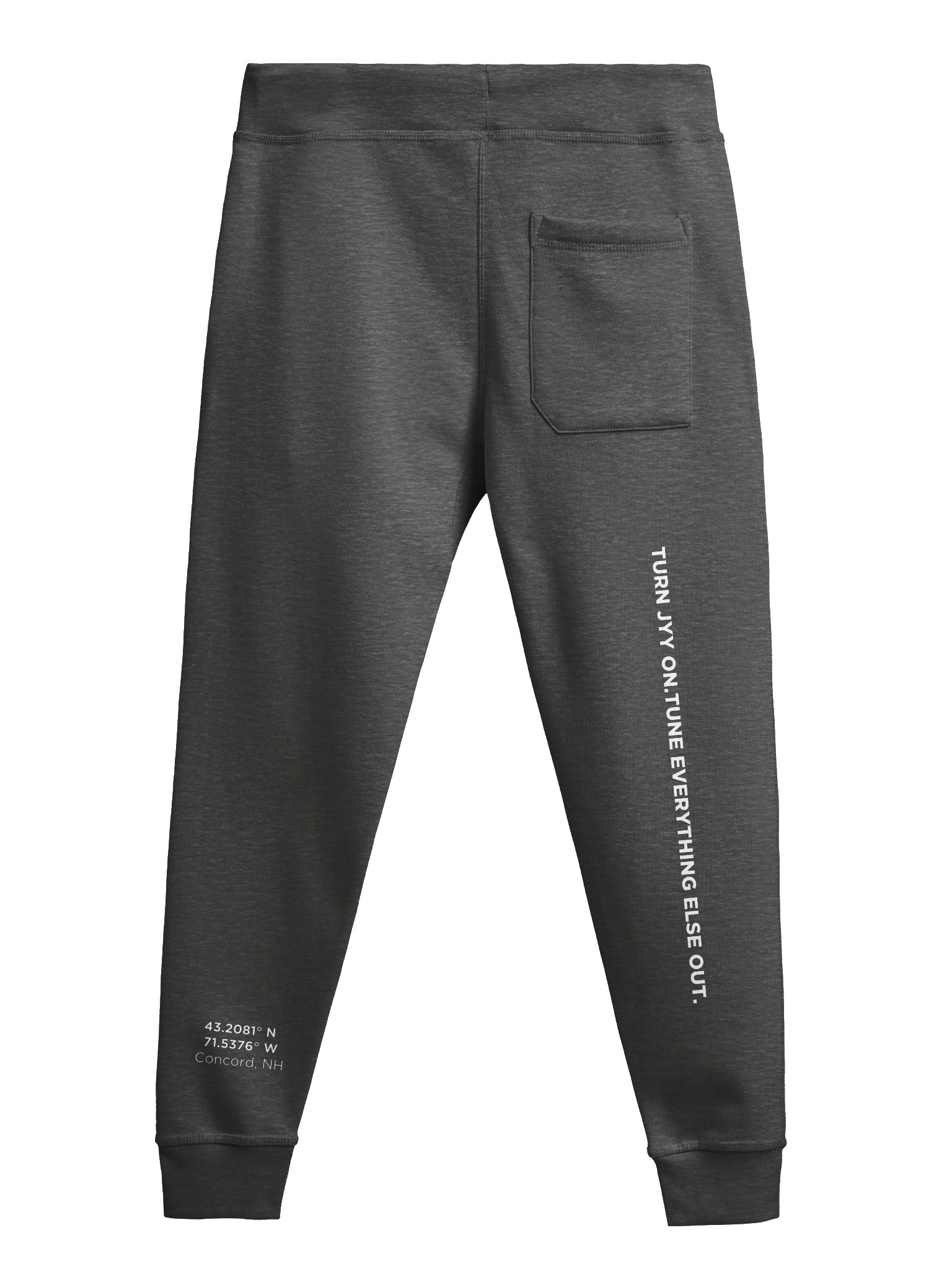 JYY Joggers product image (2)