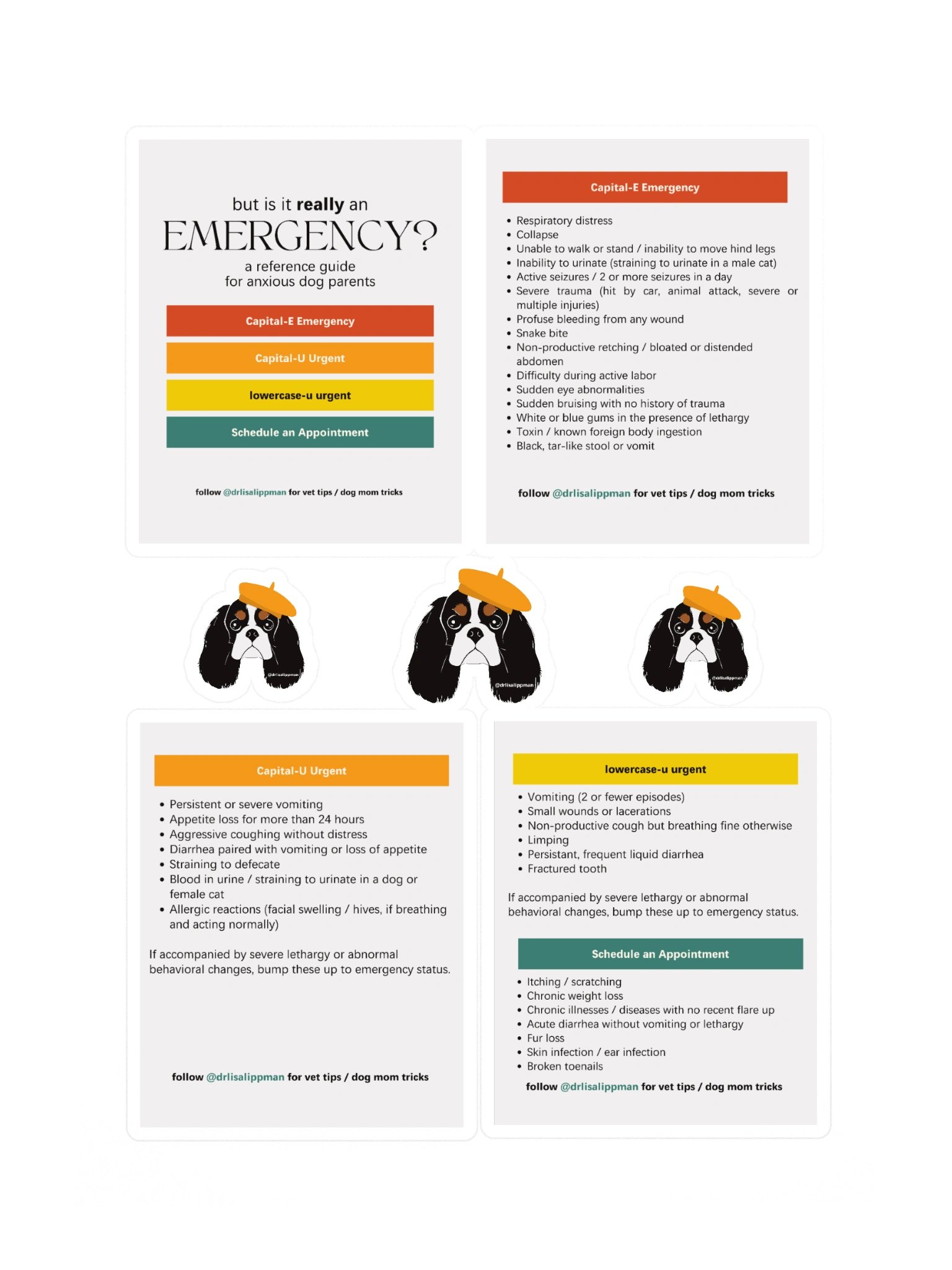 Emergency Reference Guide Sticker Sheet product image (3)