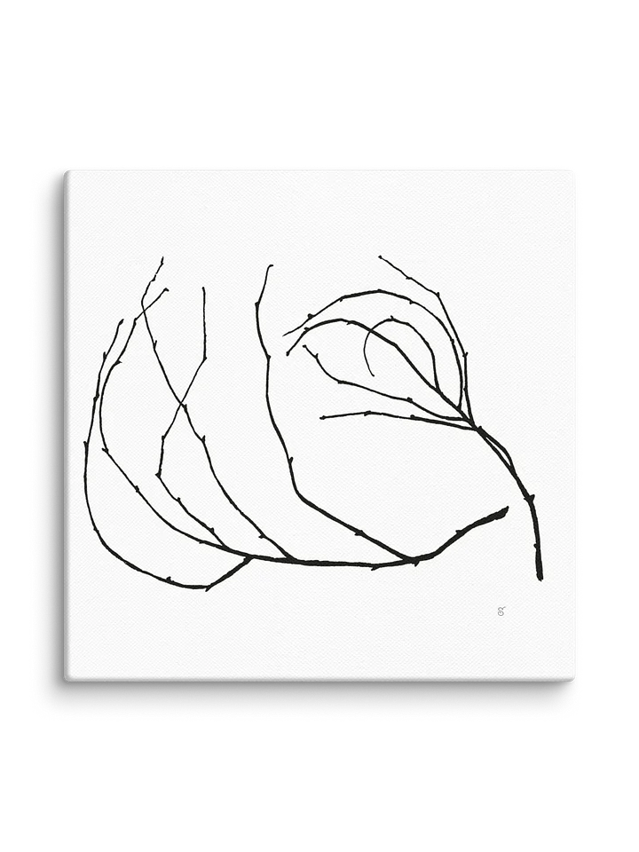 Visionary Canvas Collection - Stylized Branch product image (2)