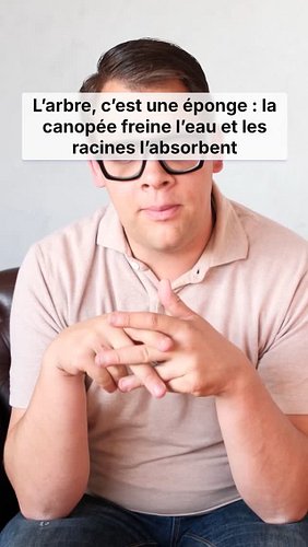 L’arbre est une éponge - il absorbe l'eau lors de forte pluie

Un arbre agit comme une éponge : la canopée ralentit l’eau, le...