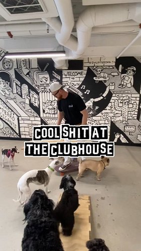 Cool sh*t at the clubhouse pt. 1 

Which one is your favorite 👀 

Jefftown murals by @monstermike_art
The Doberman Mural by @...
