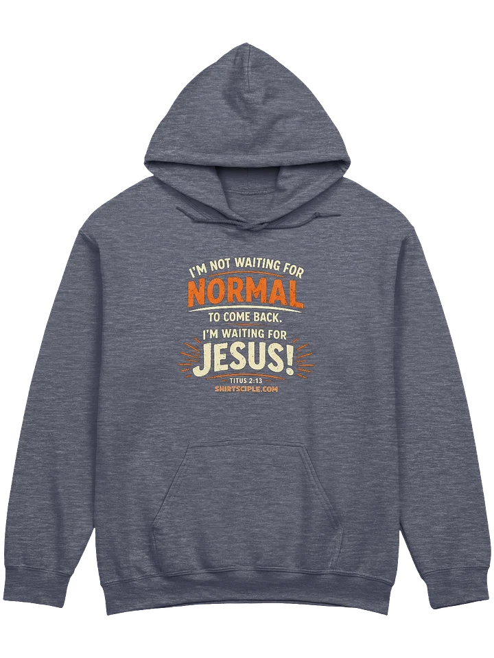 I'm Not Waiting For Normal Hoodie product image (1)