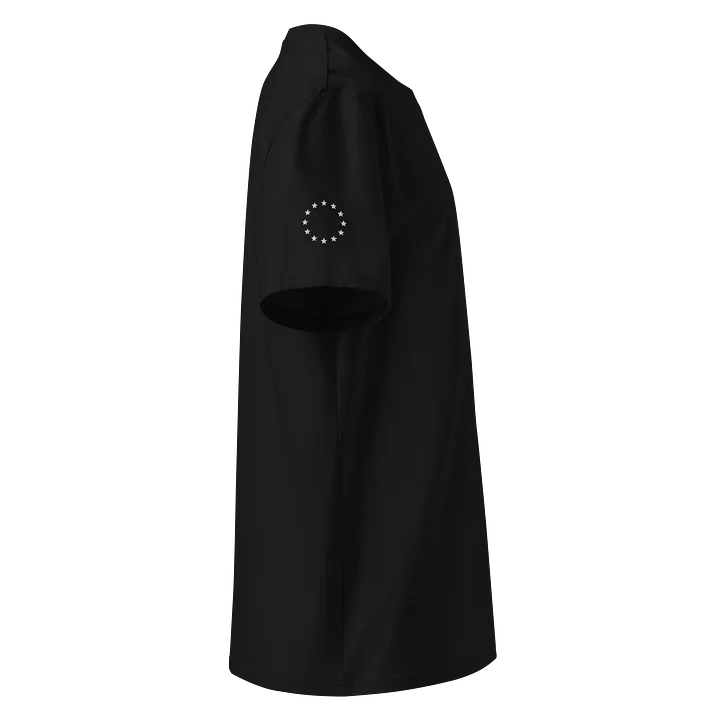 EU–INC T-Shirt (European Stars Version) product image (2)