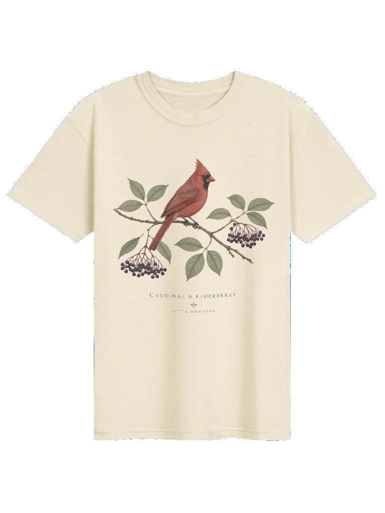 Cardinal & Elderberry T-shirt product image (4)