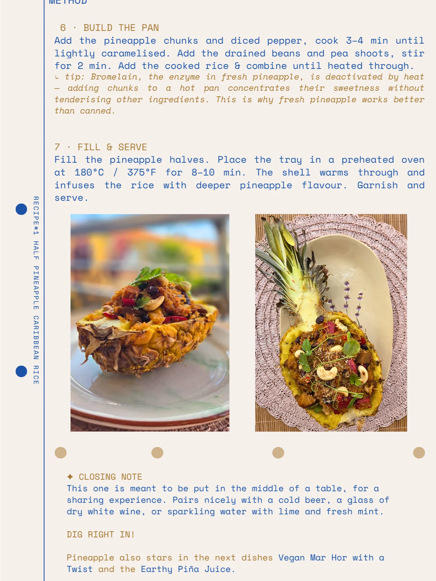 Tonic Kitchen Digital Zine: Issue 02, The Pineapple (digital download) product image (4)