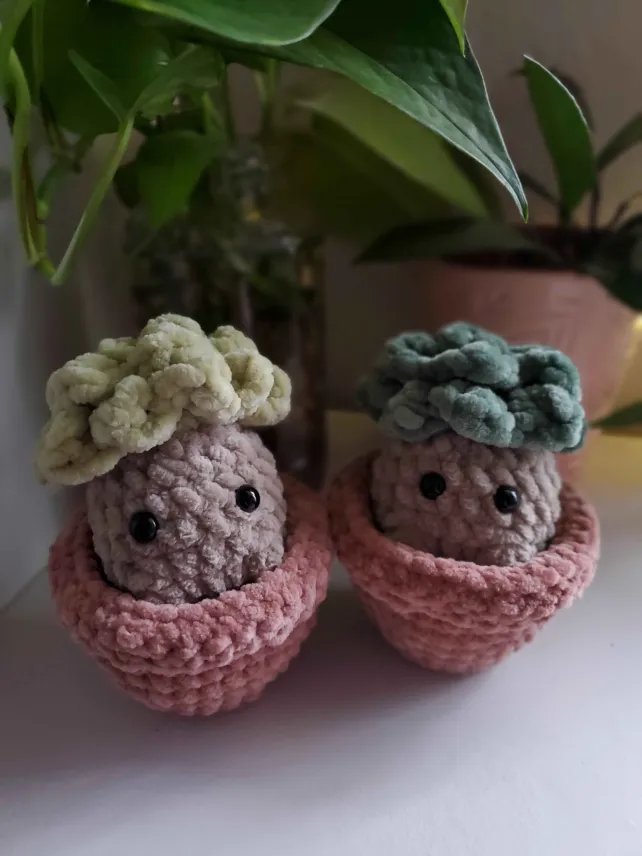 Succulent Friend product image (2)