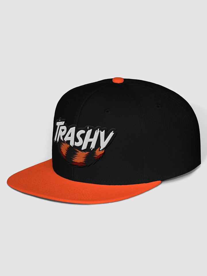 Embroidered Trashy Snap Back Cap product image (19)