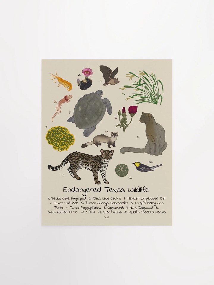 Endangered Texas Wildlife Print product image (1)