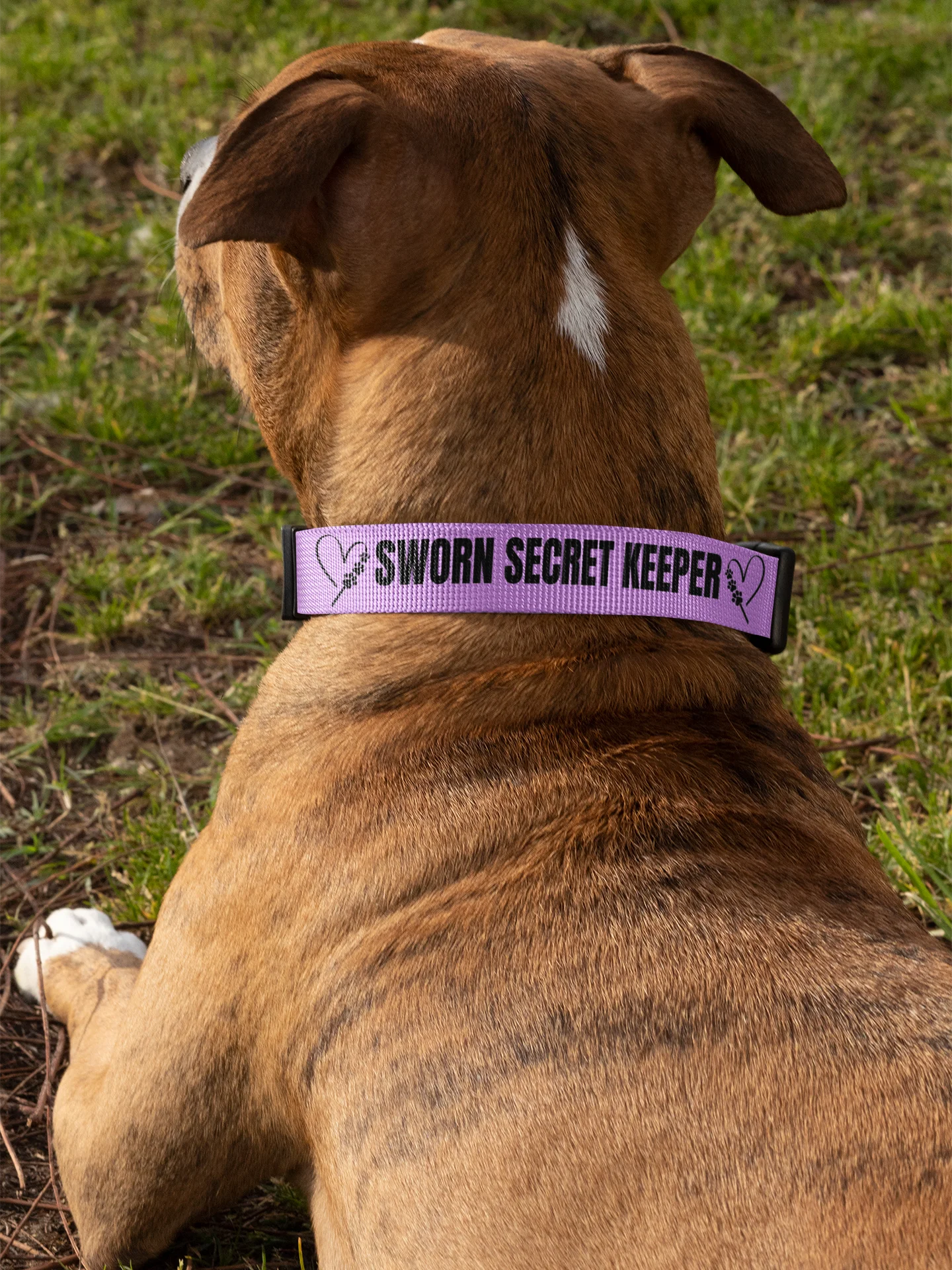 Sworn Secret Keeper Dog Collar & Leash Set product image (7)