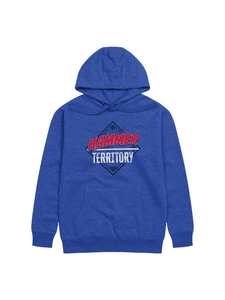 Hoodie product image (1)