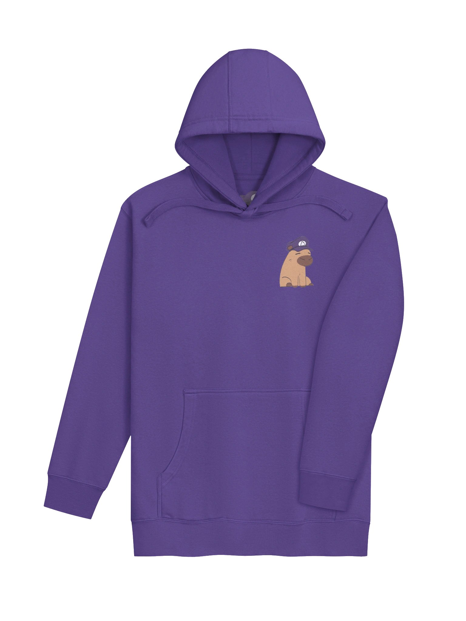 Dynamaestr0 Capy Hoodie (Printed) product image (4)