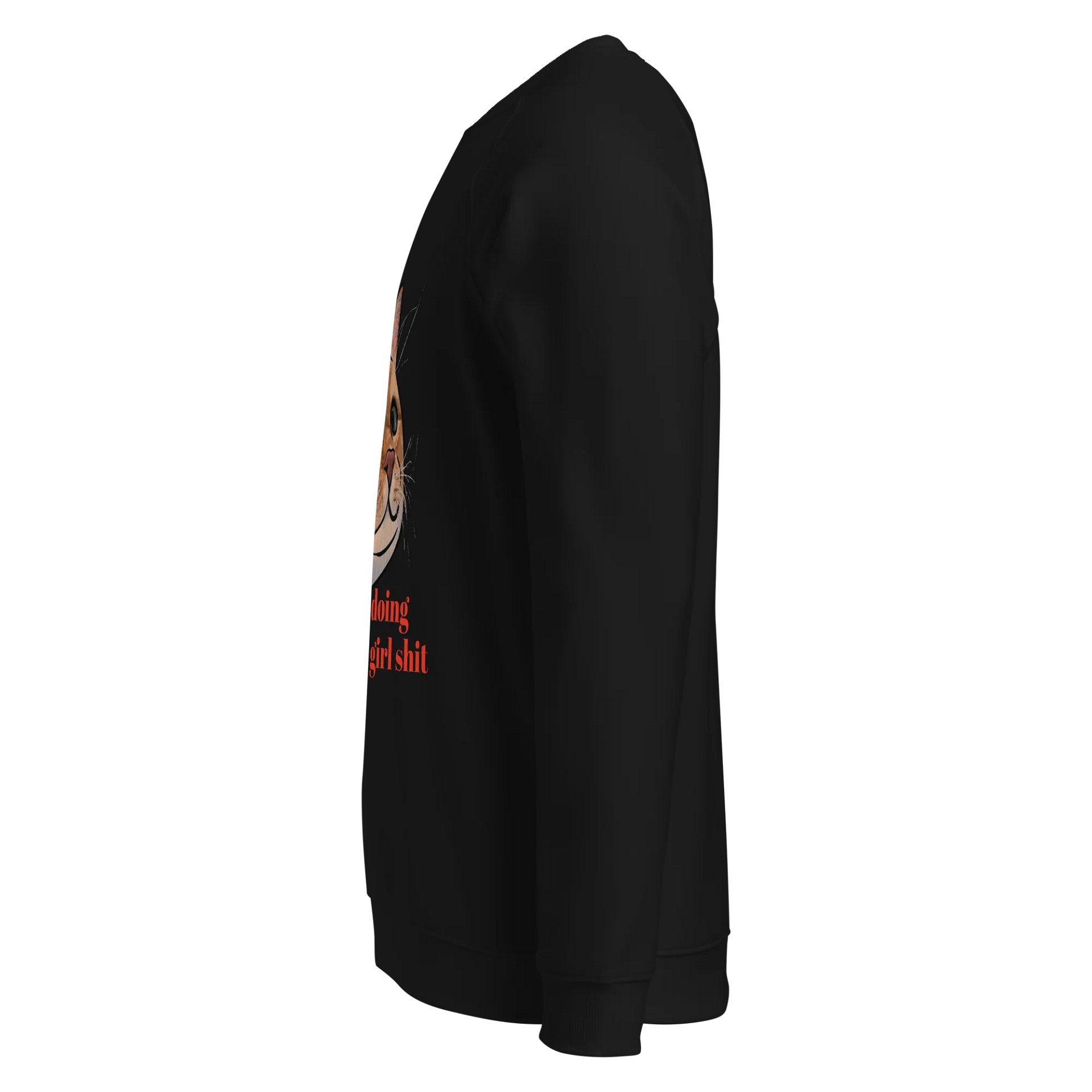 Orangey Knows Raglan Sweatshirt product image (3)