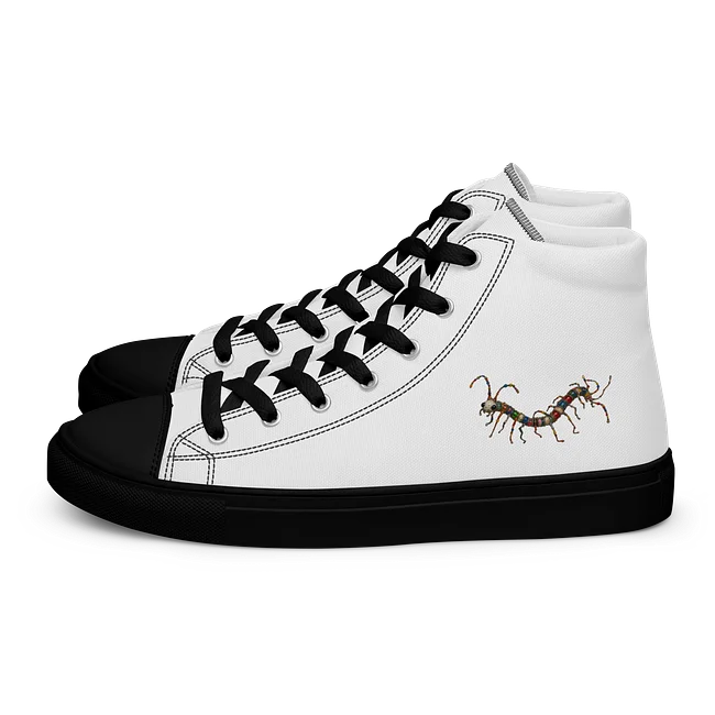 Limited Edition Shoes