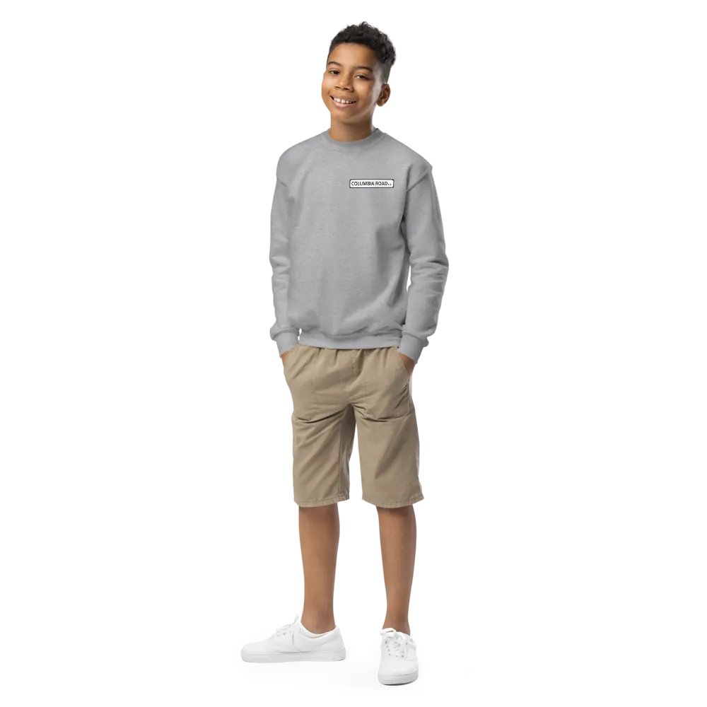 Columbia Road E.2. Kids Crew Neck Sweatshirt (Grey) product image (1)